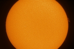 Sun-02202020