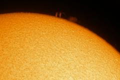 Sun-02272020c